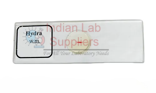 Hydra Slide